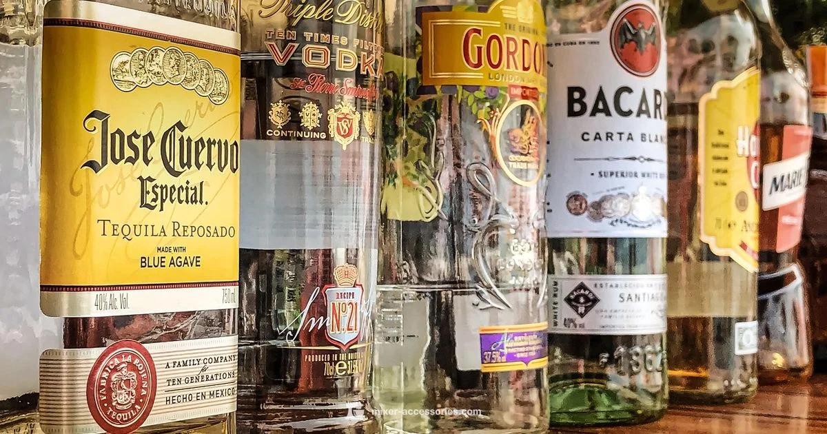 Whiskey Mix Guide - Mixer Accessories