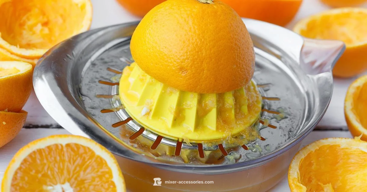 Off-Grid Juicing - Mixer Accessories