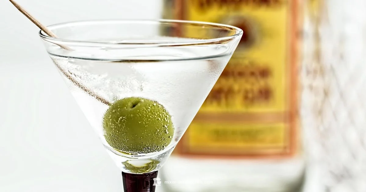 Gin Mixing Mastery - Mixer Accessories