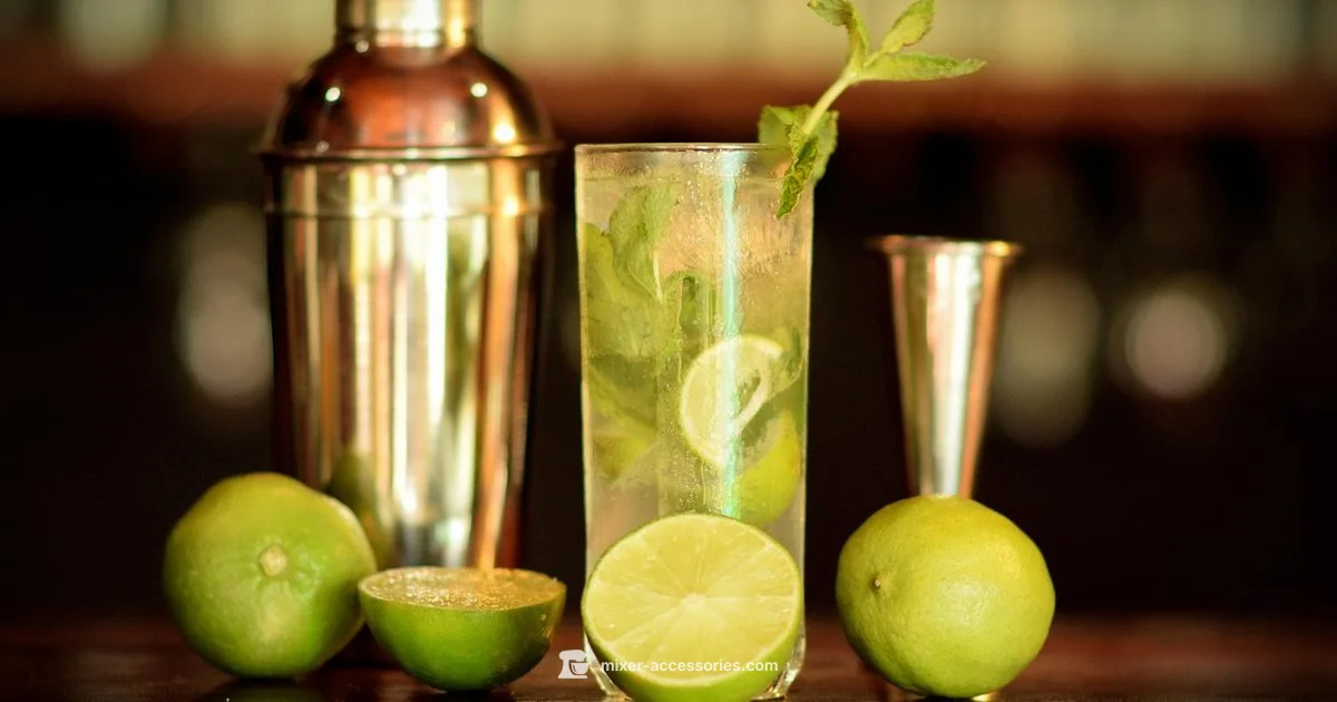 Bacardi Mojito Mixer Guide Bacardi Mojito Mixer Guide - Mixer Accessories
