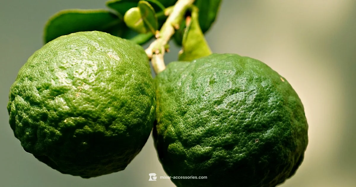 Vaseline Lemon Interaction Vaseline Lemon Interaction - Mixer Accessories