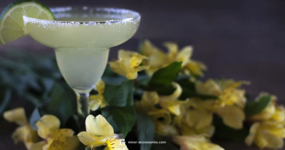 Master of Mix Margarita - Mixer Accessories