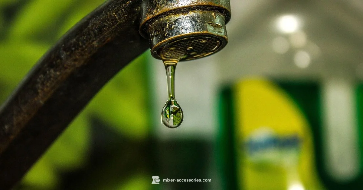 Dripping Faucet Fix - Mixer Accessories