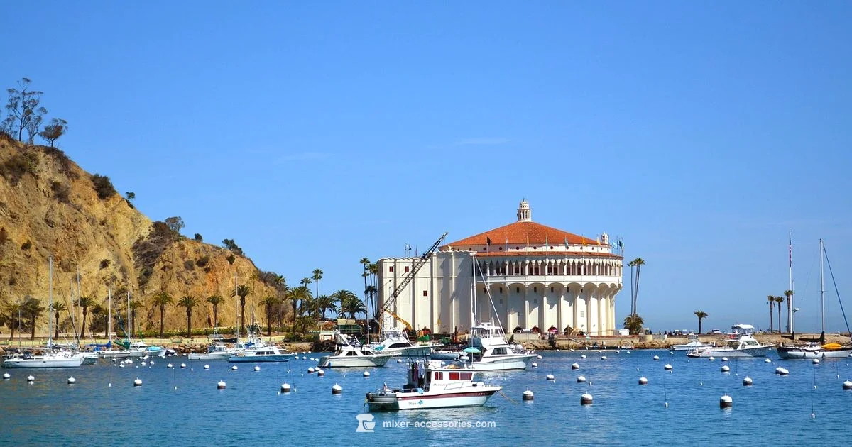 Catalina Wine Mixer - Mixer Accessories