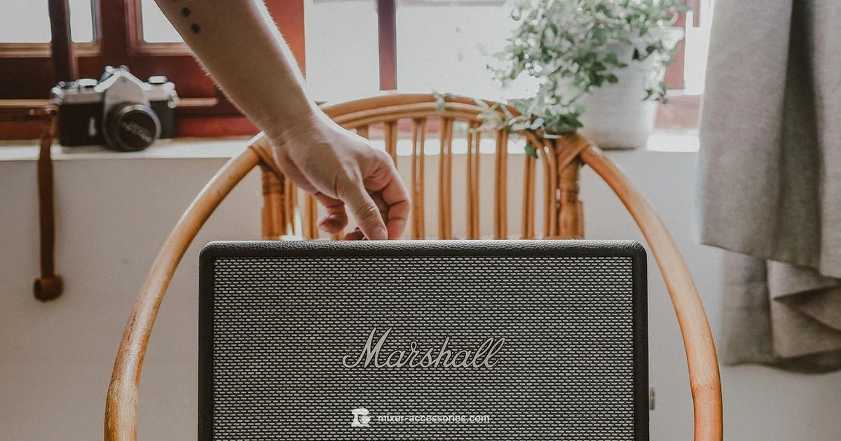 Mixer to Speaker Setup - Mixer Accessories