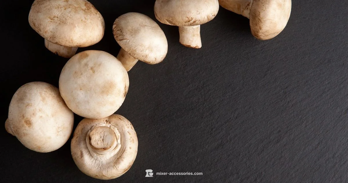 Stand Mixer Setup Stand Mixer Setup - Mixer Accessories