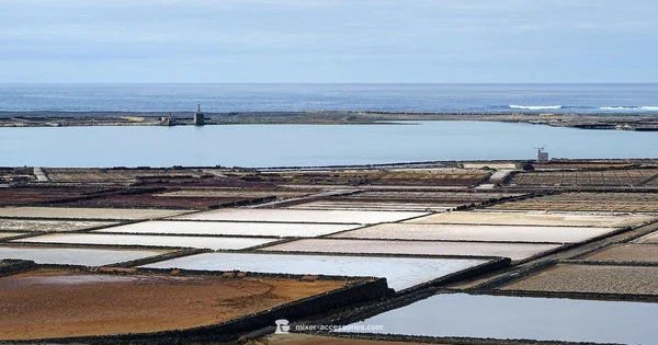 Salt Vaseline Paste - Mixer Accessories