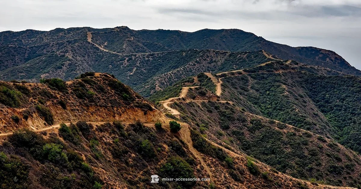 Catalina Wine Mixer Tickets - Mixer Accessories