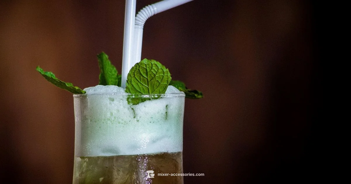 Best Margarita Mixers - Mixer Accessories