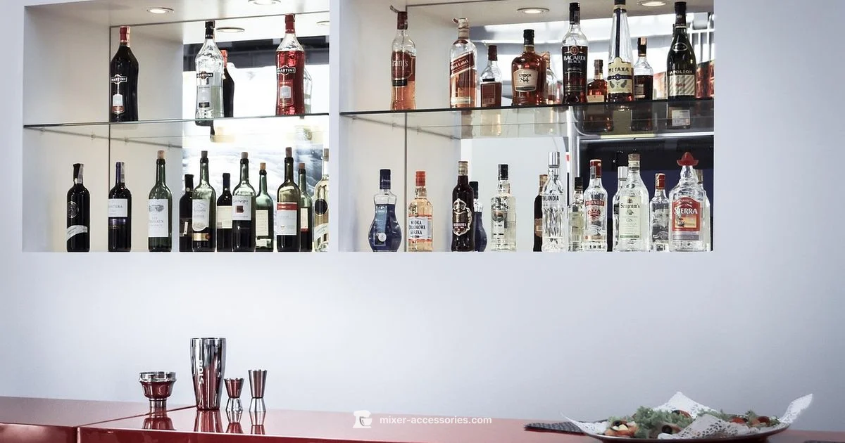 Gin & Mixer Guide - Mixer Accessories