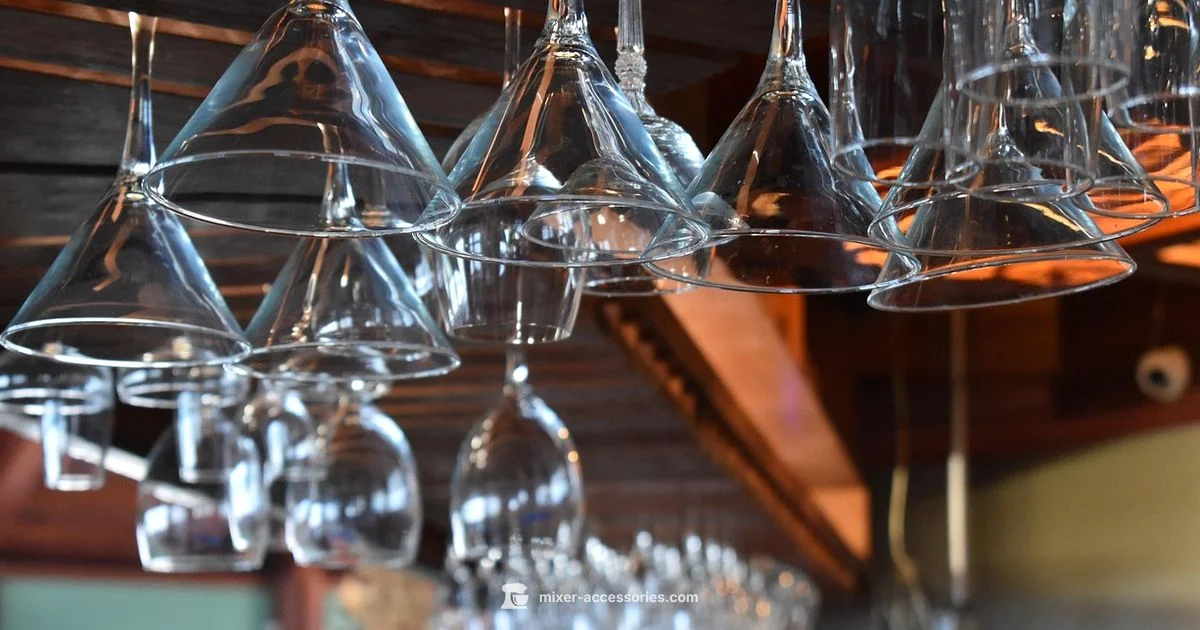 Who Uses Drink Mixers - Mixer Accessories