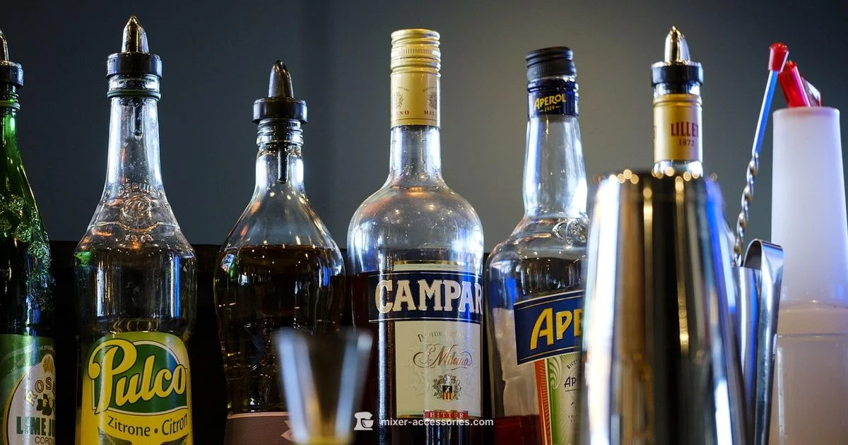 Drink Mixer Guide Drink Mixer Guide - Mixer Accessories