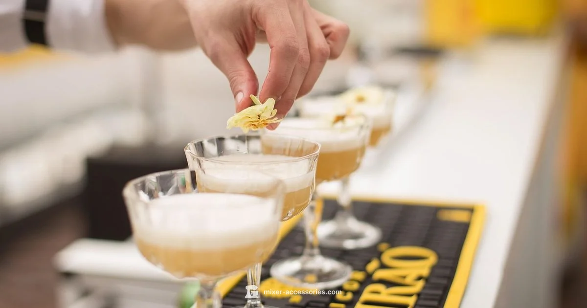 Mixing Drinks Guide - Mixer Accessories