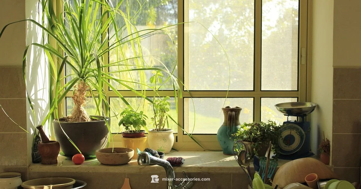 KitchenAid Buy Guide - Mixer Accessories