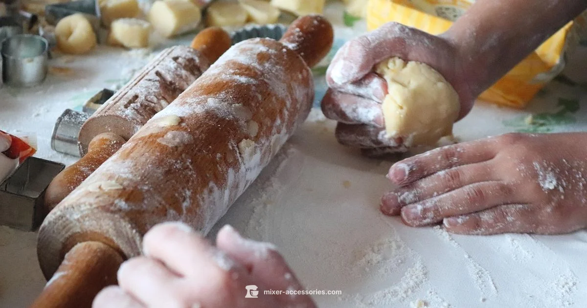 Spiral Mixer at Home - Mixer Accessories