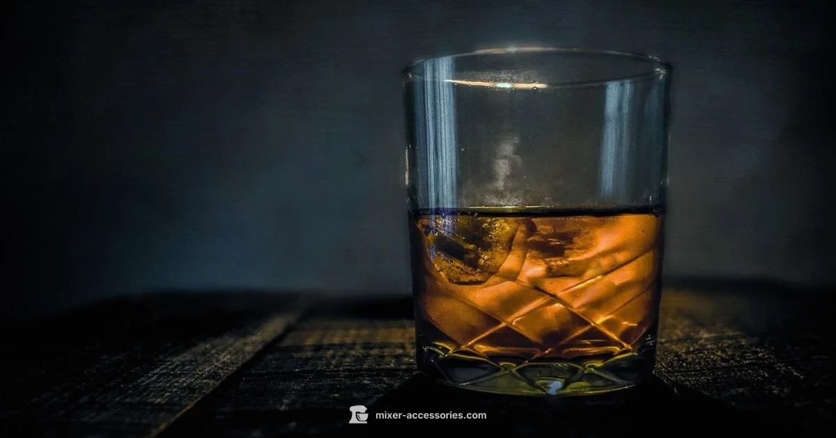 Whiskey Mixer Guide Whiskey Mixer Guide - Mixer Accessories