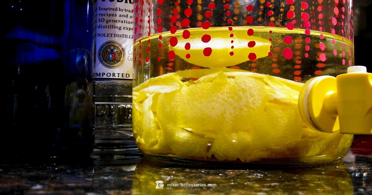 Lemon Spritz Guide - Mixer Accessories