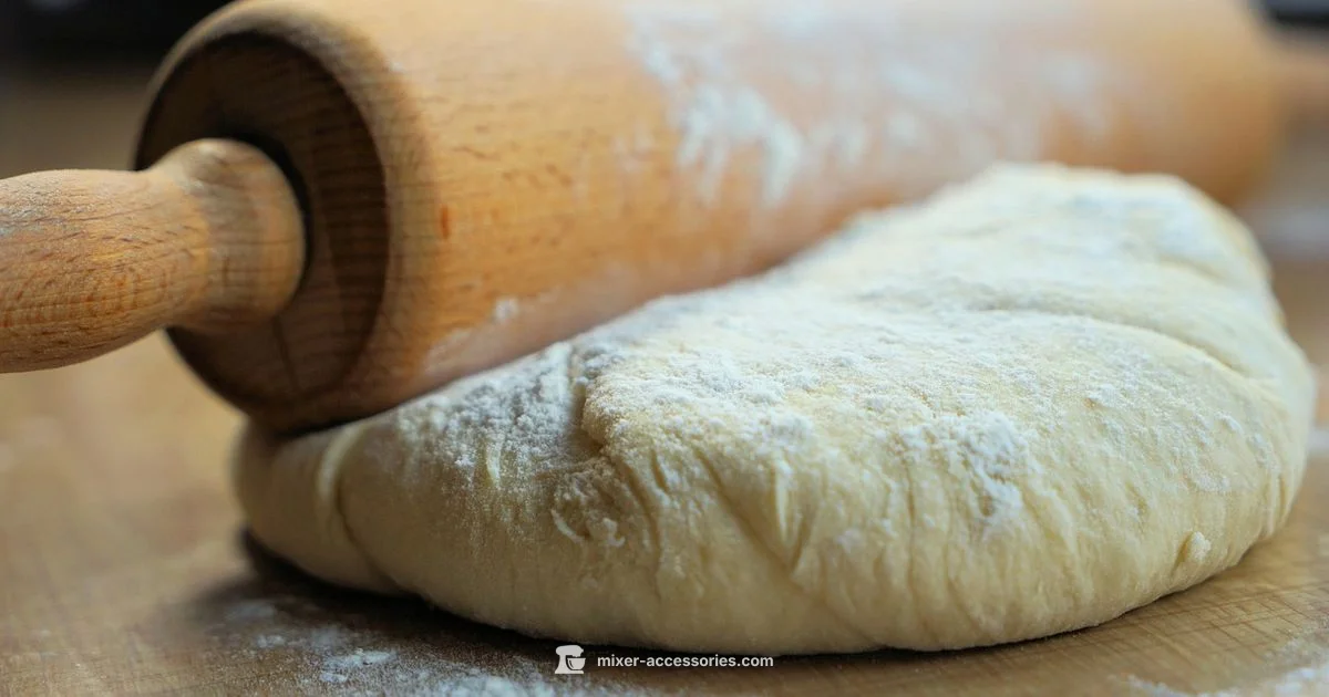 Spiral Hook Guide - Mixer Accessories