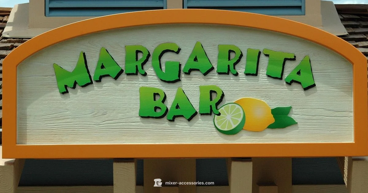 Margarita Mixer Basics - Mixer Accessories