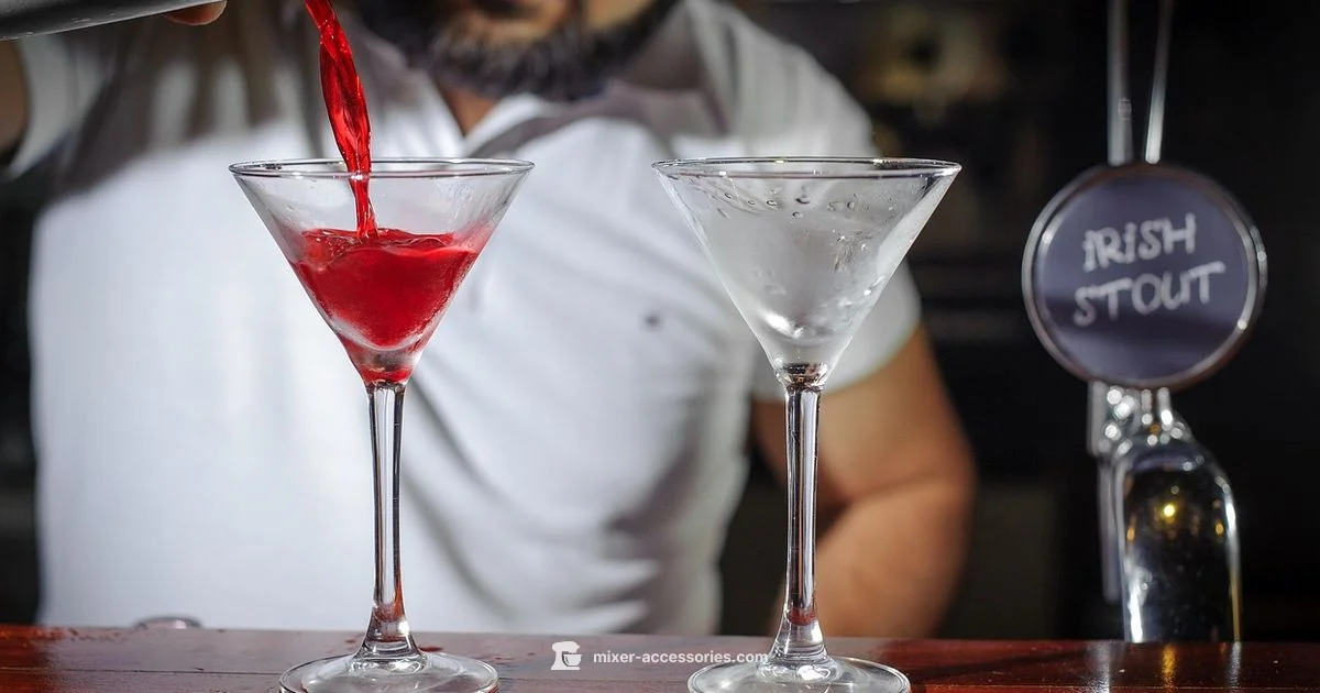 Gin Mixer Guide - Mixer Accessories