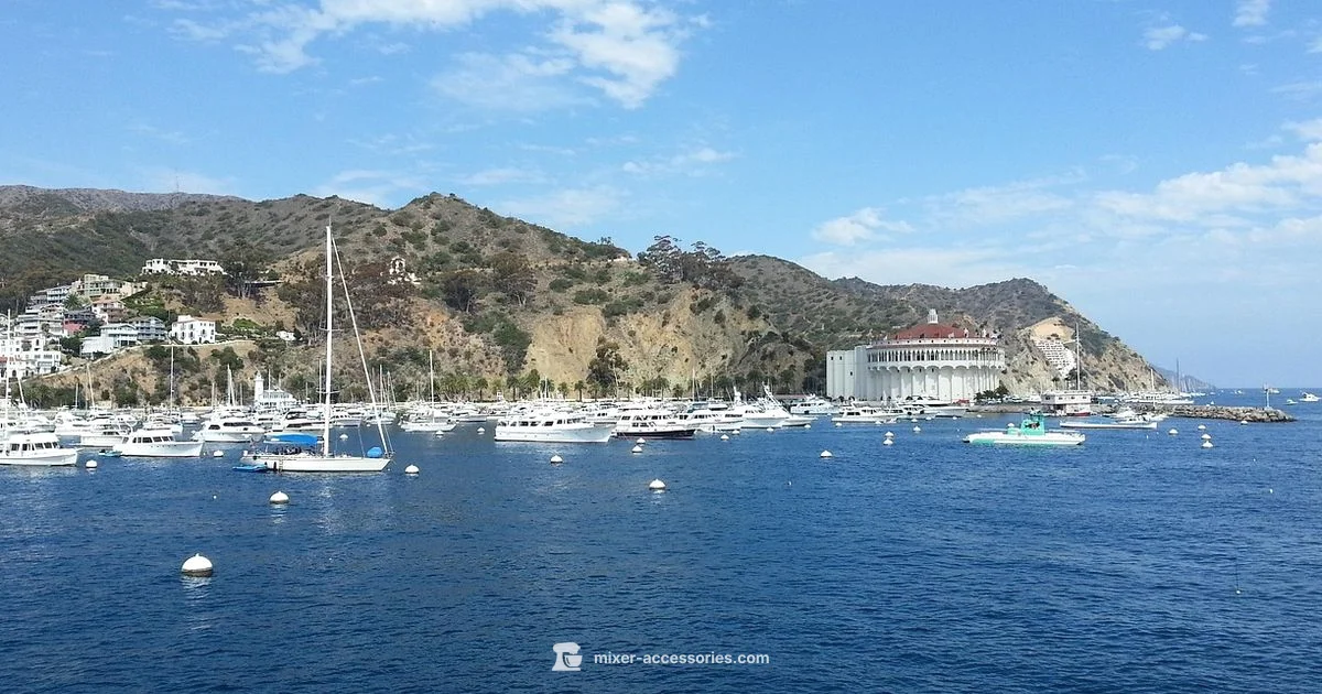 Catalina Shirt Guide - Mixer Accessories