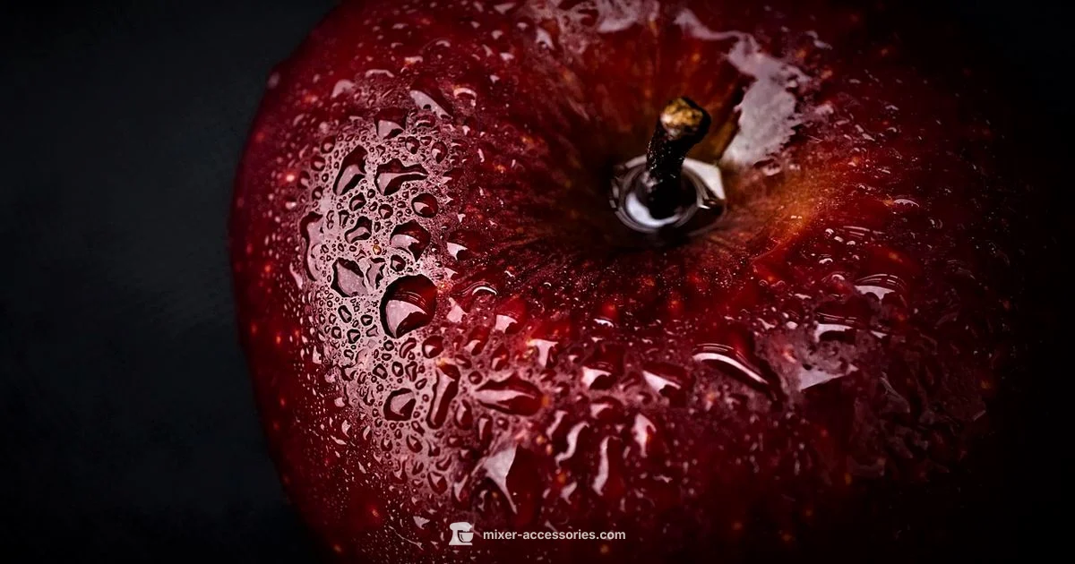 Compact Power in a Tiny Blender Compact Power in a Tiny Blender - Mixer Accessories