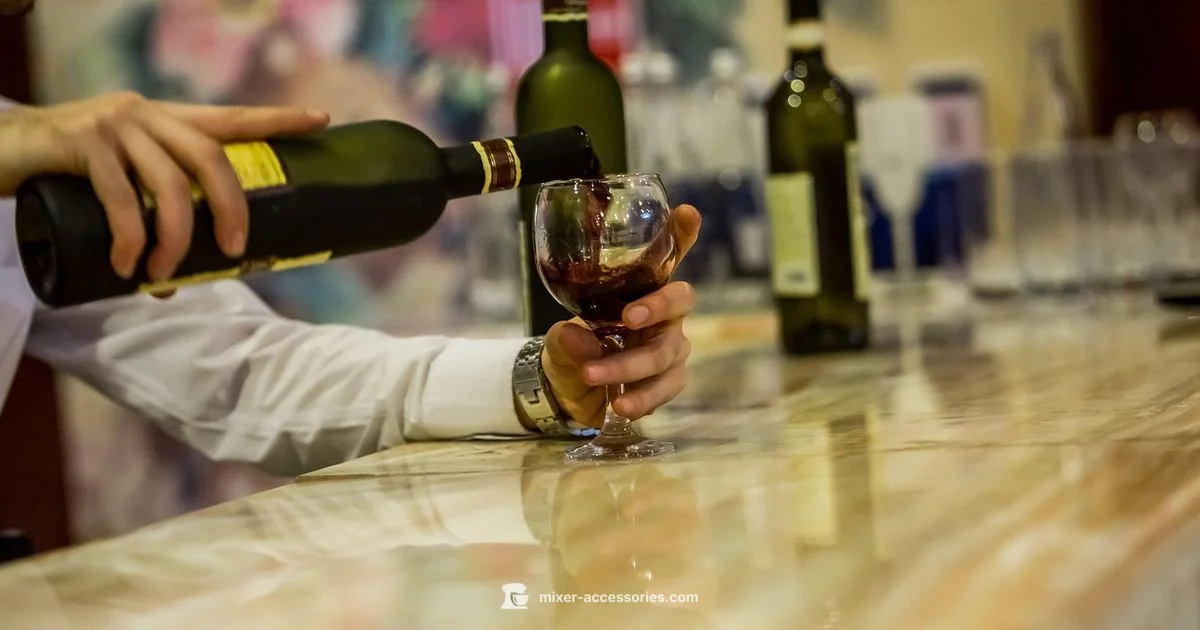 Catalina Wine Mixer - Mixer Accessories