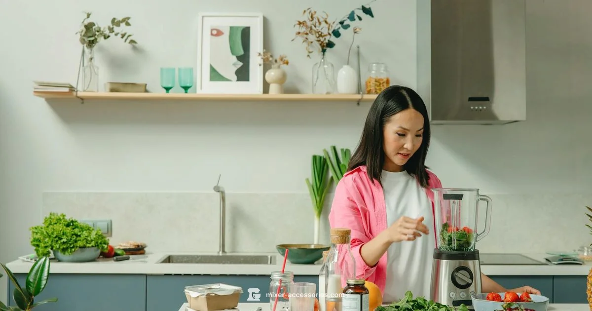 Mixer as Processor - Mixer Accessories