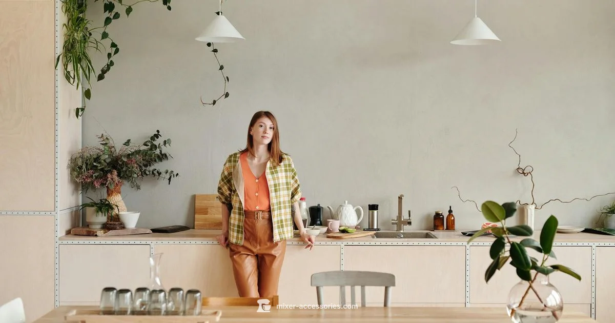 Schedule 1 Context - Mixer Accessories