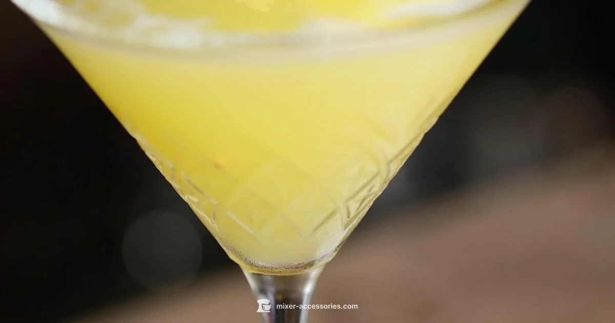 Tropical Pineapple Mixer - Mixer Accessories