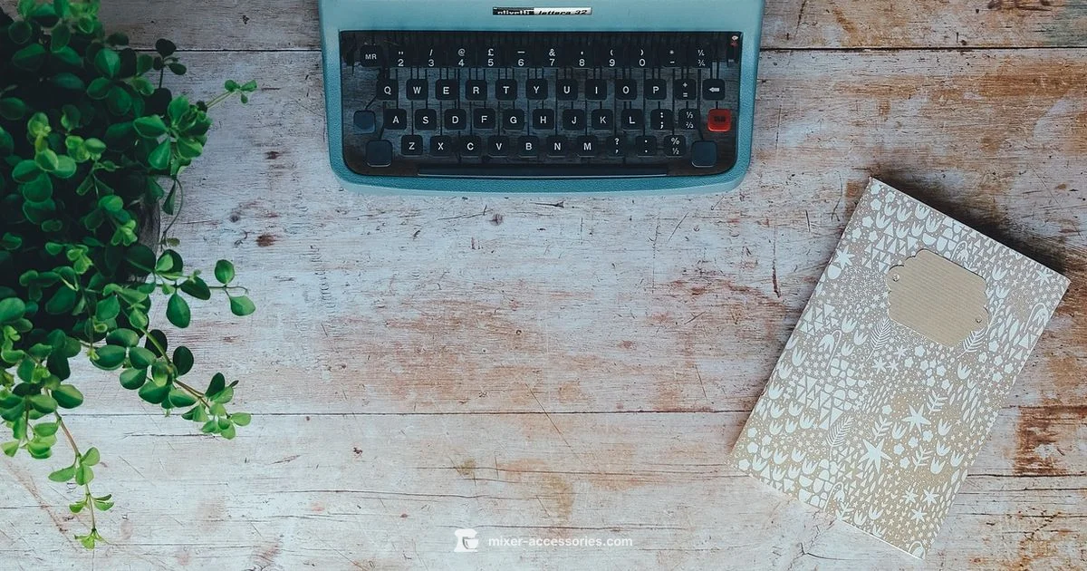 Mixmaster Essentials Guide Mixmaster Essentials Guide - Mixer Accessories