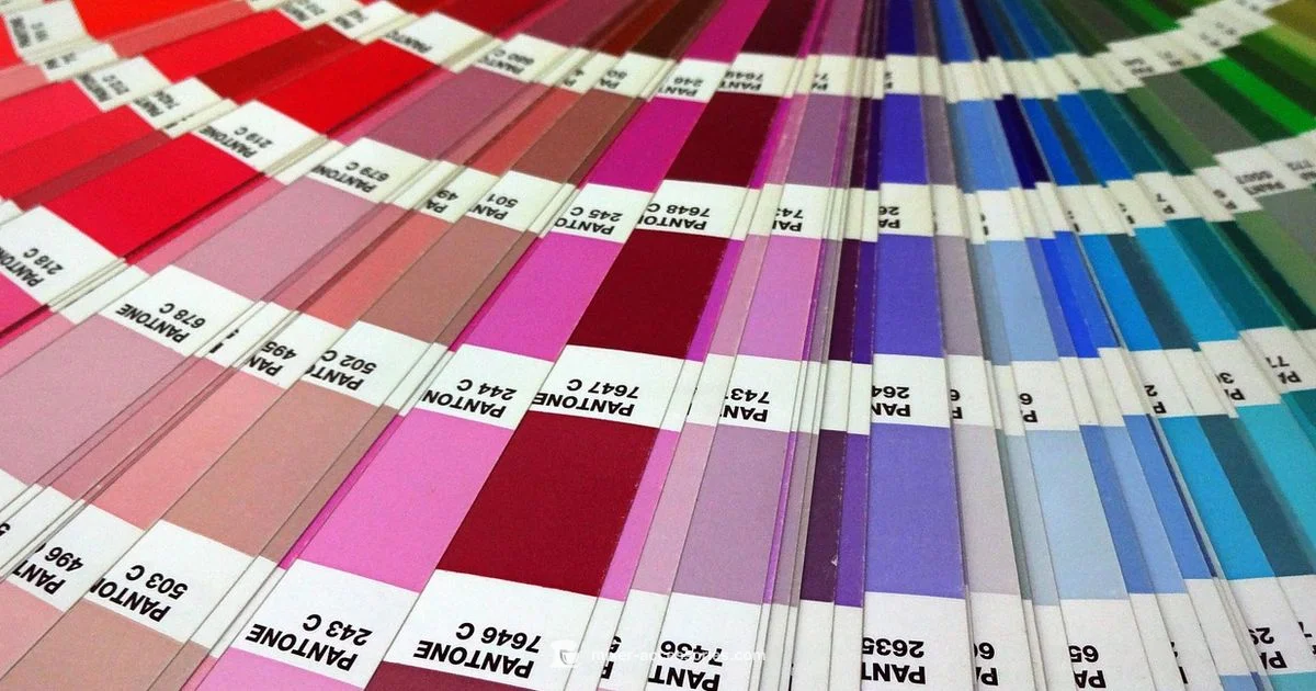 Color Mixer Chart - Mixer Accessories