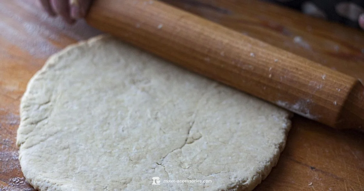 Spiral Mixer Guide - Mixer Accessories