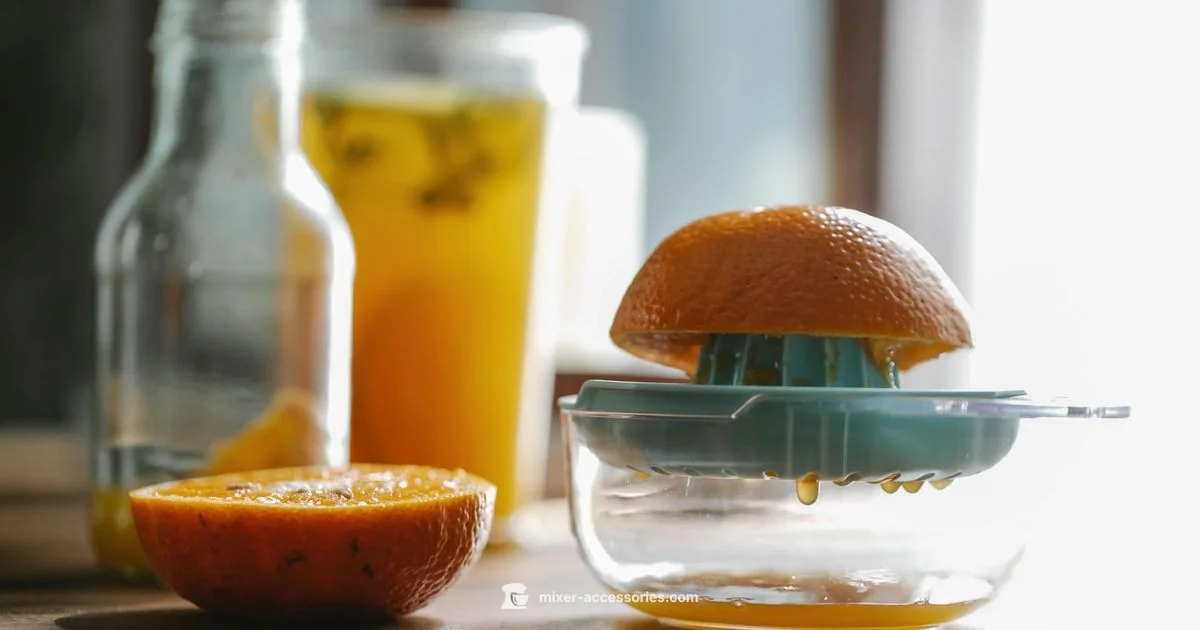 Juicer Attachment Juicer Attachment - Mixer Accessories