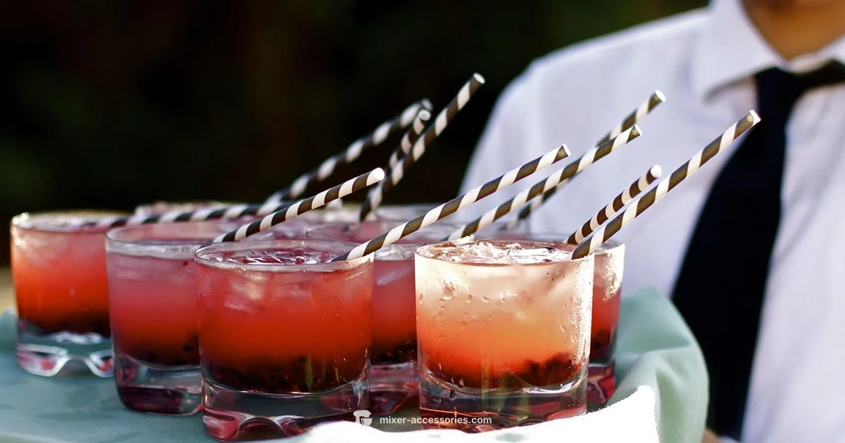 Mixer Party Guide - Mixer Accessories