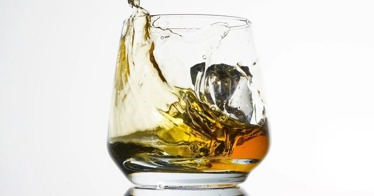 Whiskey Mixer Guide Whiskey Mixer Guide - Mixer Accessories