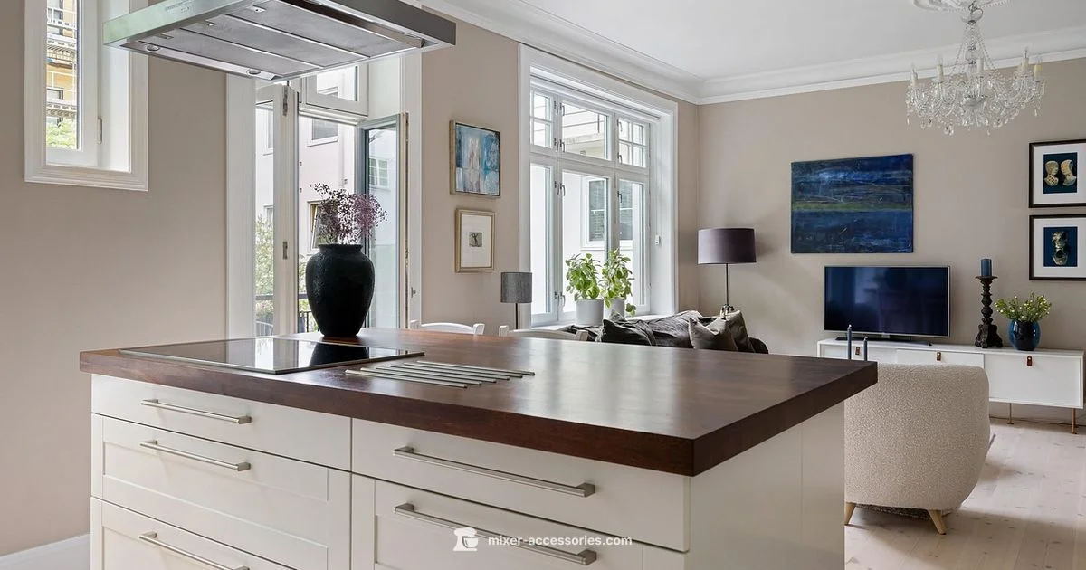 Mashed Potatoes Mastery - Mixer Accessories