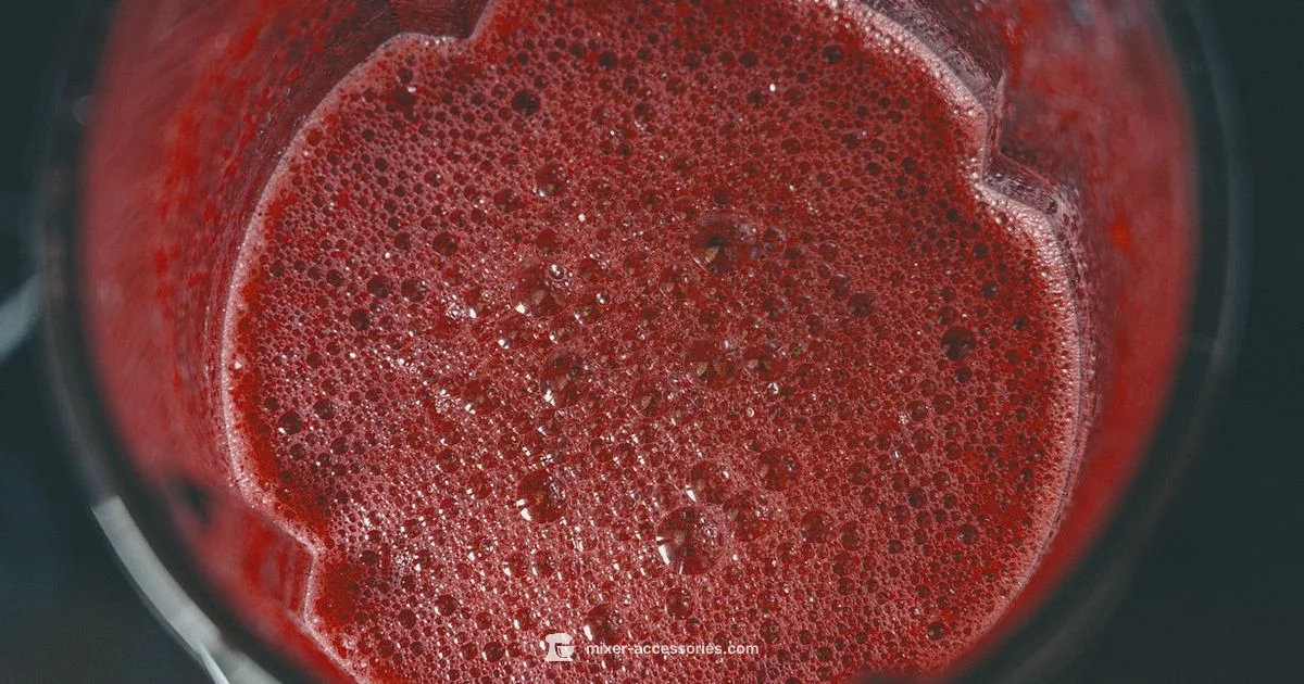 Slow Blender Fix Slow Blender Fix - Mixer Accessories