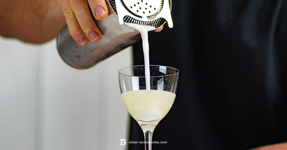 Sloe Gin Mixes - Mixer Accessories