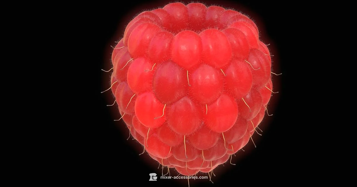 Free Blender Guide - Mixer Accessories