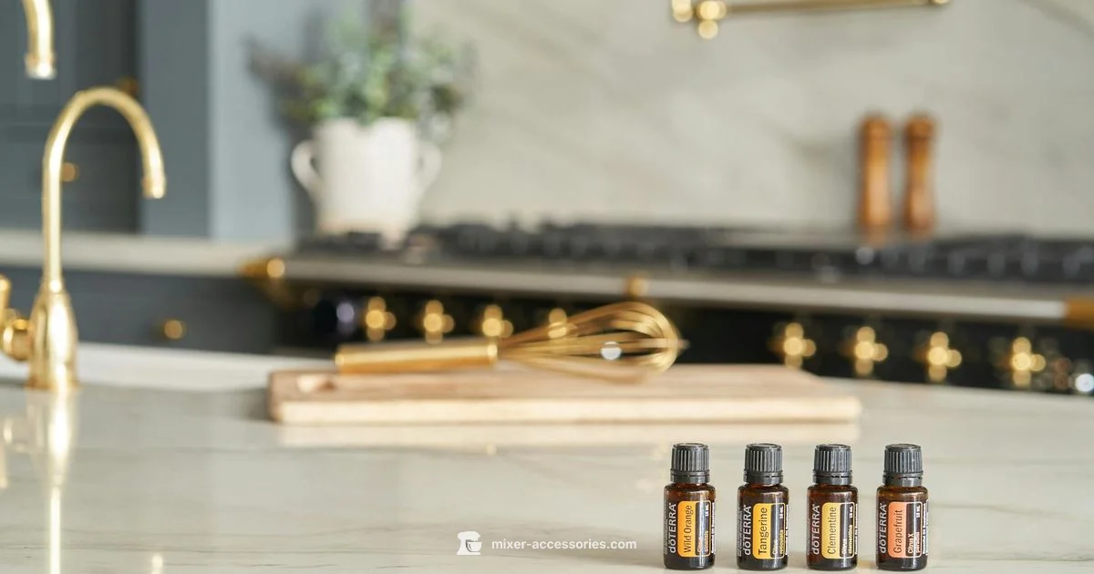 Dishwasher Guide - Mixer Accessories